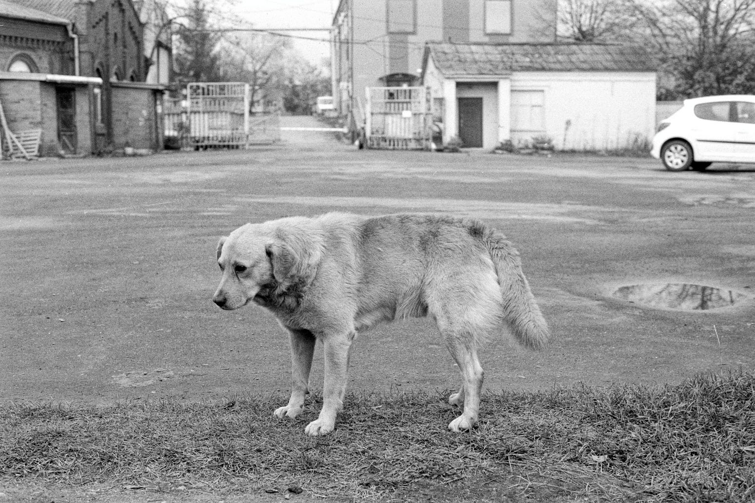 Revisiting Ponarth 1: Oppressive Memory Politics in Russia’s Westernmost Region
